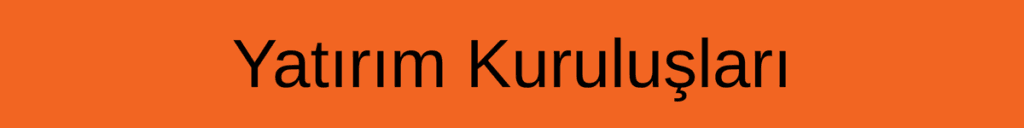 spl düzey 3