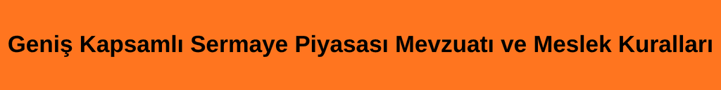 Geniş Kapsamlı Sermaye Piyasası